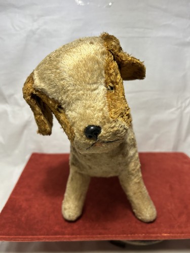 Ancien petit chien - petit,